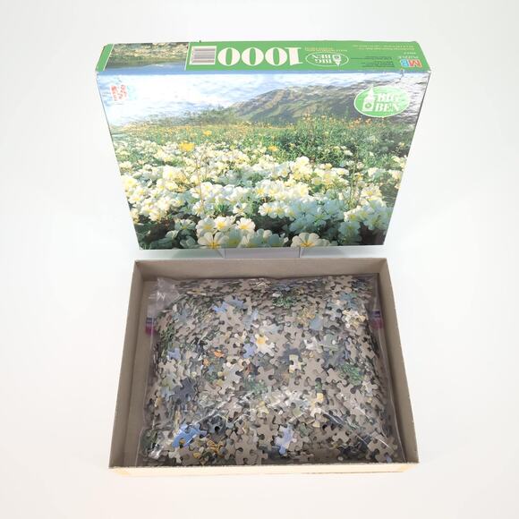 MB Milton Bradley 1000 Piece Anza-Borrego Desert State Park, CA Jigsaw Puzzle GC - Picture 2 of 12